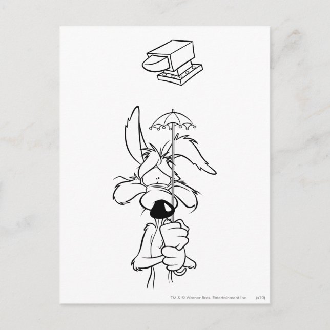 WILE E. COYOTE™ Acme Products Postkarte (Vorderseite)
