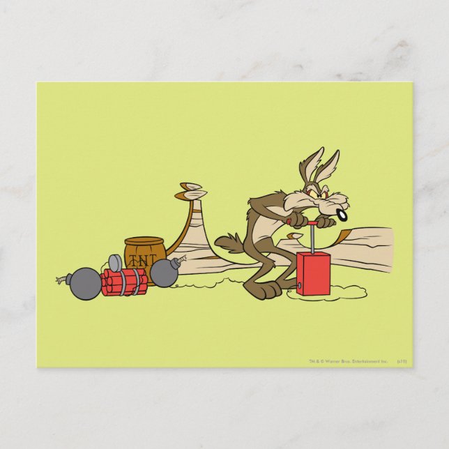 WILE E. COYOTE™ ACME TNT POSTKARTE (Vorderseite)