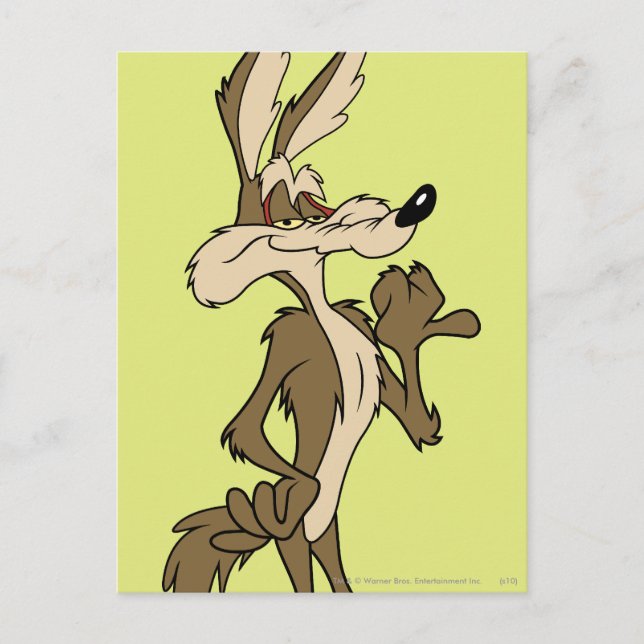 WILE E. COYOTE™ Blickwinkel Postkarte (Vorderseite)