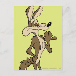WILE E. COYOTE™ Blickwinkel Postkarte