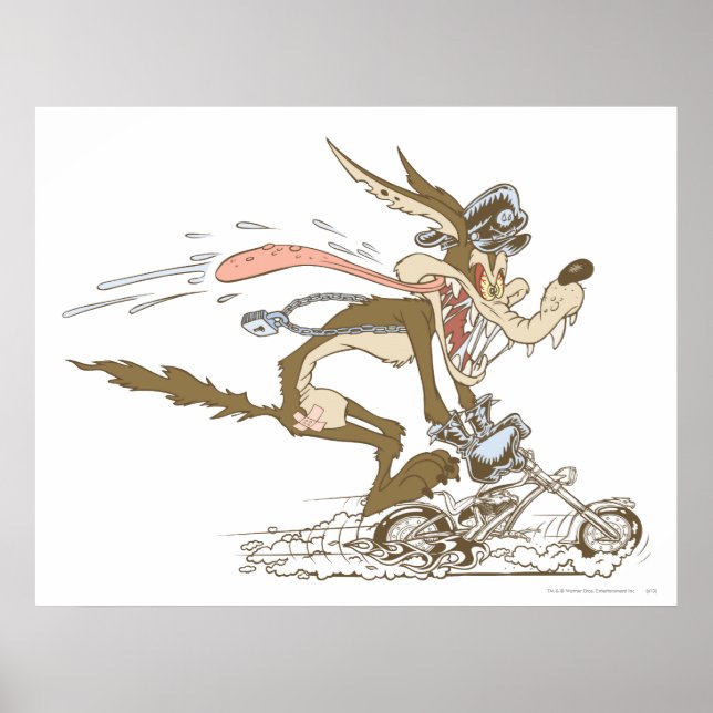 Wile E. Coyote Cycle Racer Poster (Vorne)