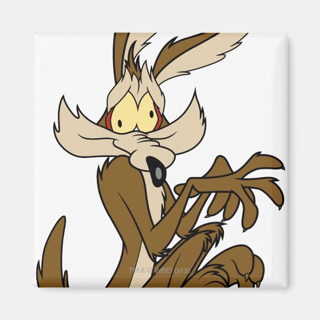Wile E. Coyote Derp Magnet (Vorne)