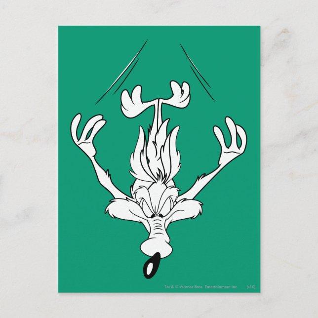 Wile E. Coyote Dive Bomb Postkarte (Vorderseite)