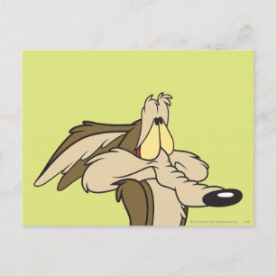 Wile E. Coyote: drohender Schaden Postkarte