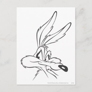 WILE E. COYOTE™ Expressive 7 Postkarte
