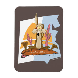 Wile E. Coyote (Fleischfresser ernsthaft) Magnet