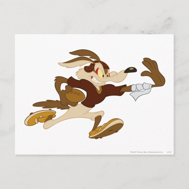 WILE E. COYOTE™ Football Postkarte (Vorderseite)