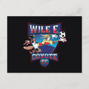 WILE E. COYOTE™ Fußballverein-Abzeichen Postkarte