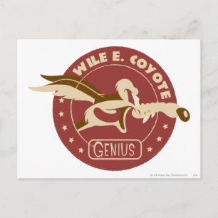WILE E. COYOTE™ Genius Postkarte