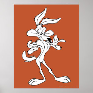 Wile E. Coyote Looking erfreut Poster