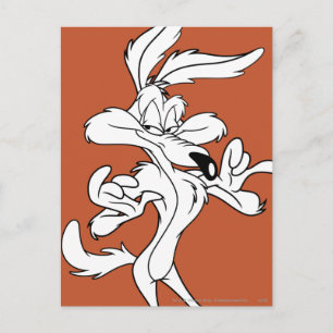 WILE E. COYOTE™ Looking erfreut Postkarte