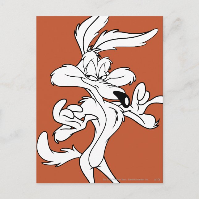 WILE E. COYOTE™ Looking erfreut Postkarte (Vorderseite)
