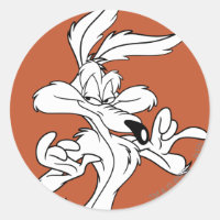 WILE E. COYOTE™ Looking erfreut