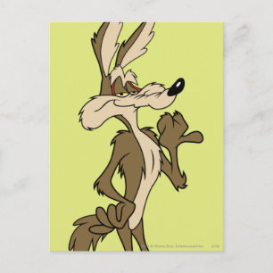 WILE E. COYOTE™ Looking Proud Postkarte
