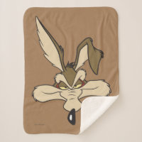 WILE E. COYOTE™ Pleased Head Shoot