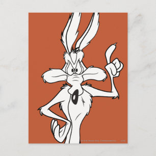 WILE E. COYOTE™ Punktmachen Postkarte
