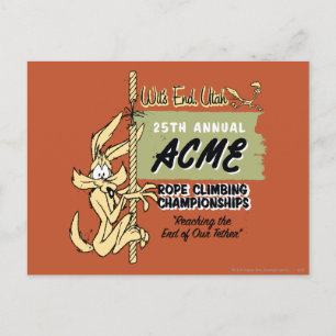 WILE E. COYOTE™ Rope Climbing Championships Postkarte