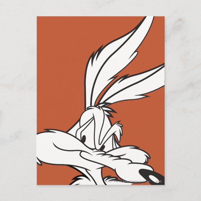 WILE E. COYOTE™ Sneaky aussehen Postkarte (Vorderseite)