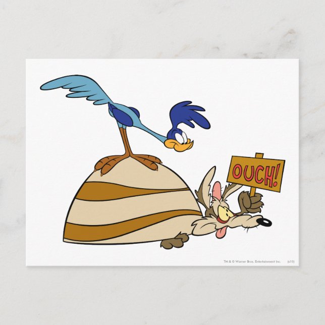 WILE E. COYOTE™ und ROAD RUNNER™ Boulder Postkarte (Vorderseite)
