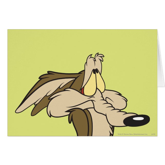 WILE E. COYOTE™ Unheil (Vorderseite (Horizontal))