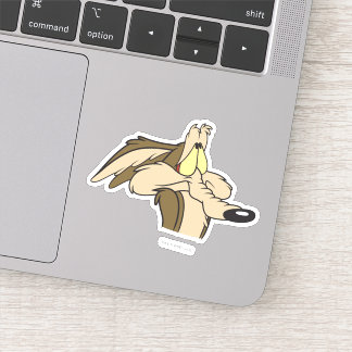 WILE E. COYOTE™ Unheil Aufkleber