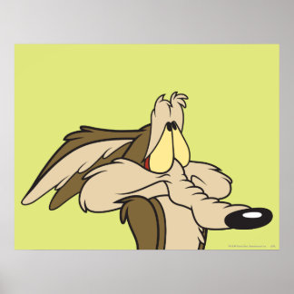 WILE E. COYOTE™ Unheil Poster