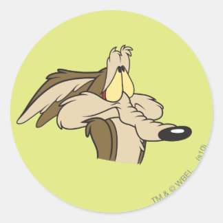 WILE E. COYOTE™ Unheil Runder Aufkleber