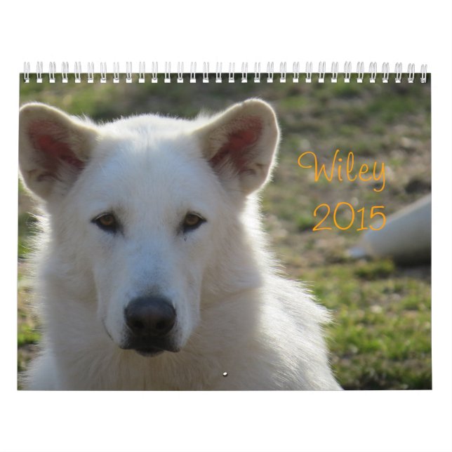 Wiley-Kalender Kalender (Titelbild)