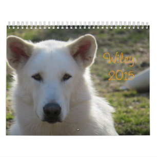 Wiley-Kalender Kalender