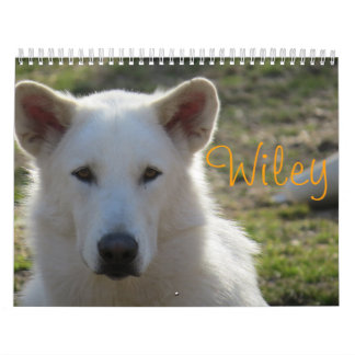 Wiley-Kalender Kalender