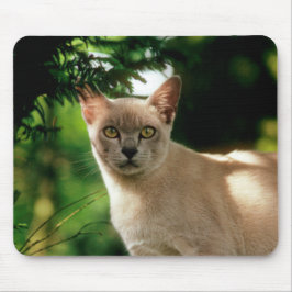 Wilham. Mousepad