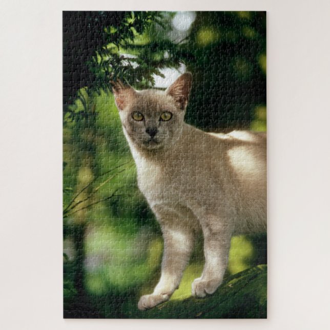 Wilham. Puzzle (Vertikal)