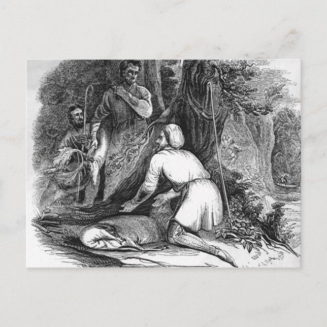 Will Scarlet tötet einen Buck Postkarte (Vorderseite)