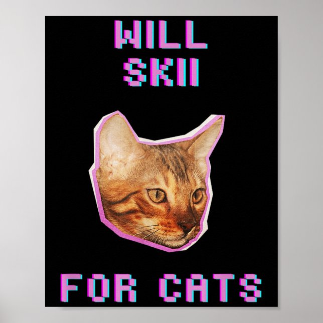 Will Skiing For Cats Funny Winter Snow Adventure  Poster (Vorne)