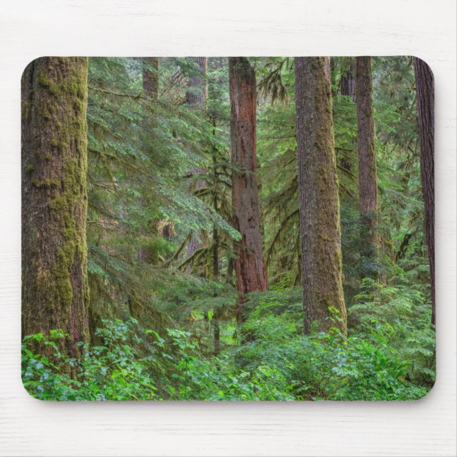Willamette National Forest | Oregon Mousepad (Vorne)