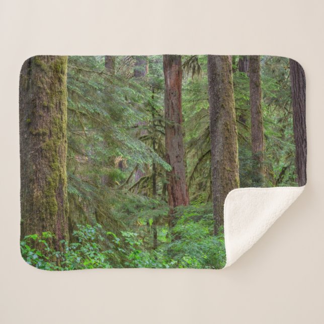 Willamette National Forest | Oregon Sherpadecke (Vorderseite (Horizontal))