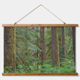 Willamette National Forest   Oregon Wandteppich Mit Holzrahmen