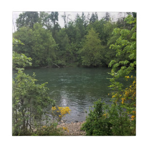 Willamette River, Elijah Bristow Staat Park, OR Fliese