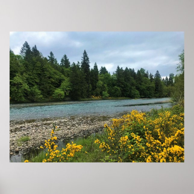 Willamette River, Elijah Bristow Staat Park, OR Poster (Vorne)