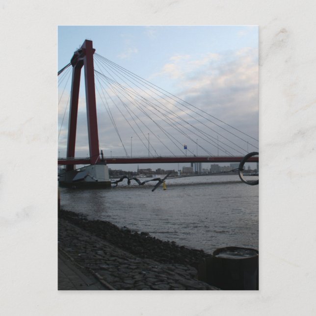 Willemsbrug, Rotterdam Postkarte (Vorderseite)