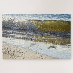 Willet Duo auf Dauphin Island, Alabama Puzzle