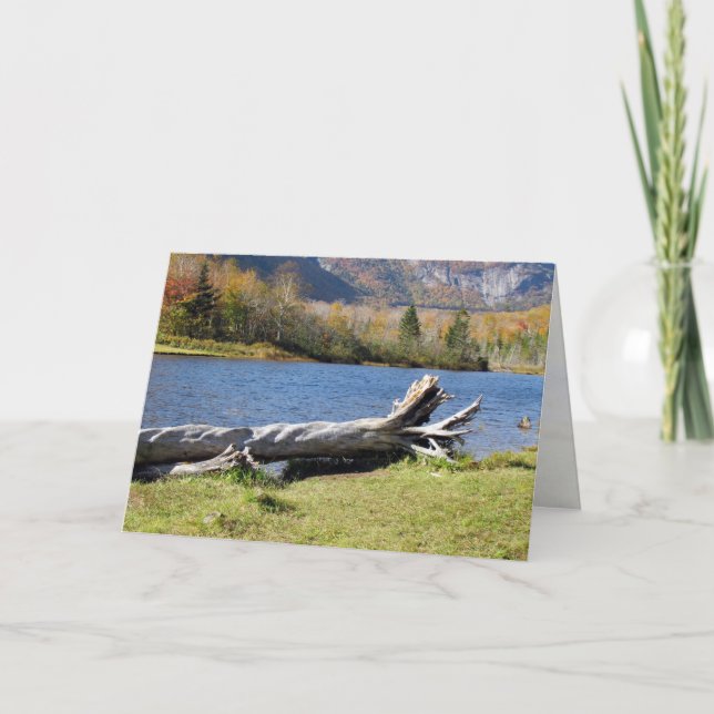 Willey's Pont, Saco River, North Conway, NH Karte (Vorderseite)