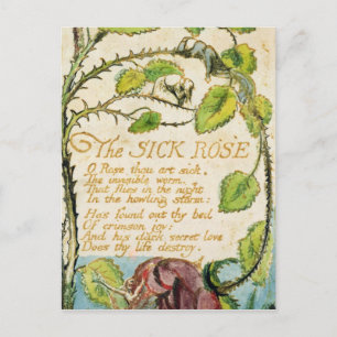 William Blake The Sick Rose, from Songs of Innoc Postkarte