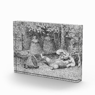 William H. Beard - Bear Stung by Bies Fotoblock