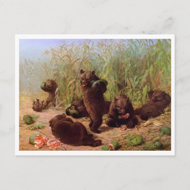 William H. Beard, Bears in Watermelon Patch Postkarte (Vorderseite)