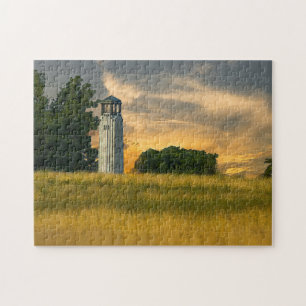 William Livingstone Lighthouse Puzzle