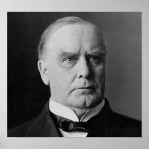 William Mckinley Poster