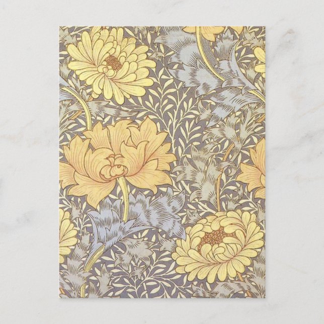 William Morris Chrysanthemum Mum Blume Postkarte (Vorderseite)