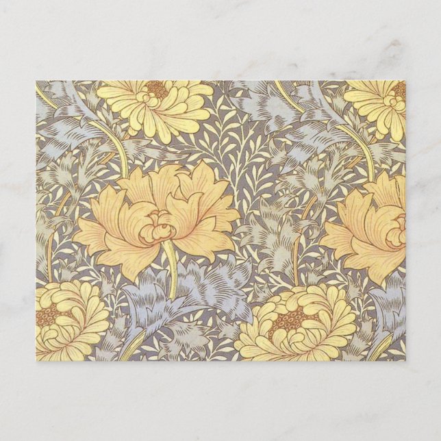 William Morris Chrysanthemum Mum Blume Postkarte (Vorderseite)