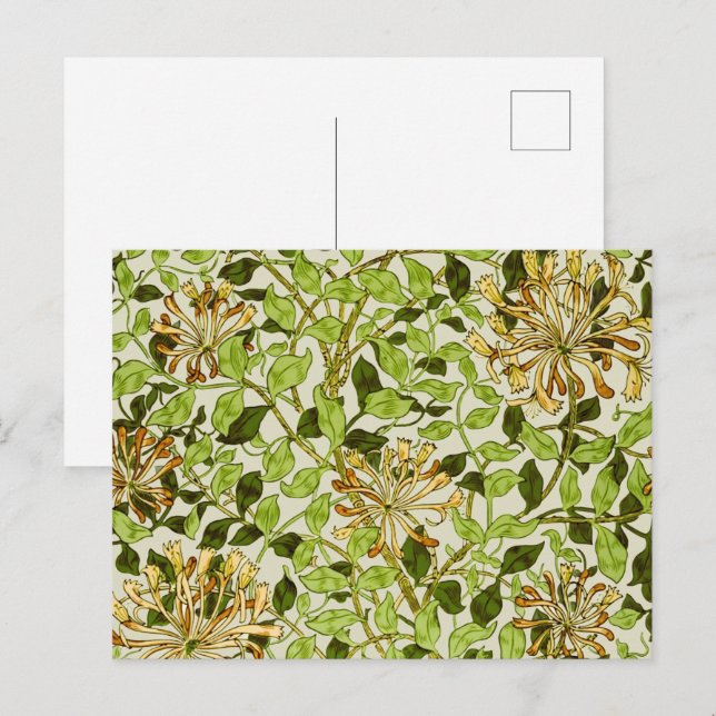 William Morris Green Honeysuckle Blumenwallpaper Postkarte (Vorne/Hinten)